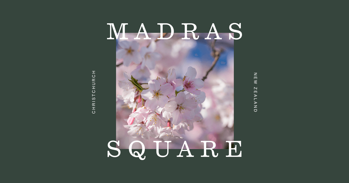 Madras Square — Open Graph preview from the live site